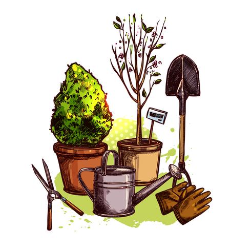 Set de herramientas de jardín vector