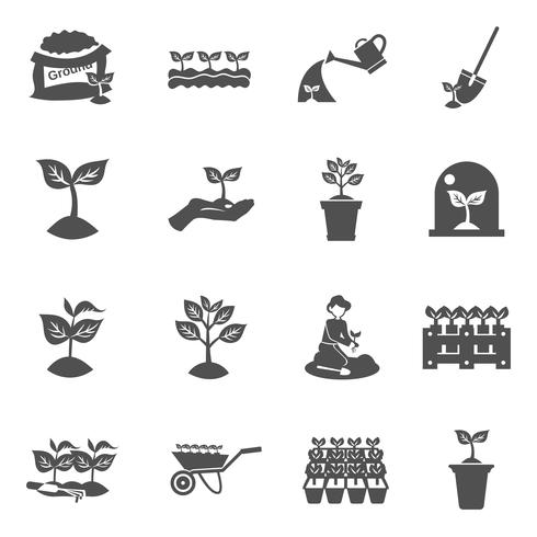 Seedling Icons Set vector