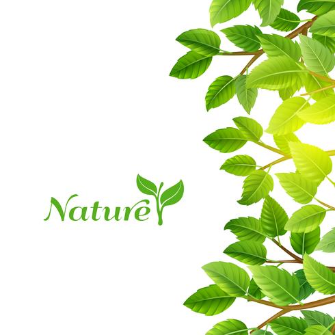 Green leaves nature background print vector