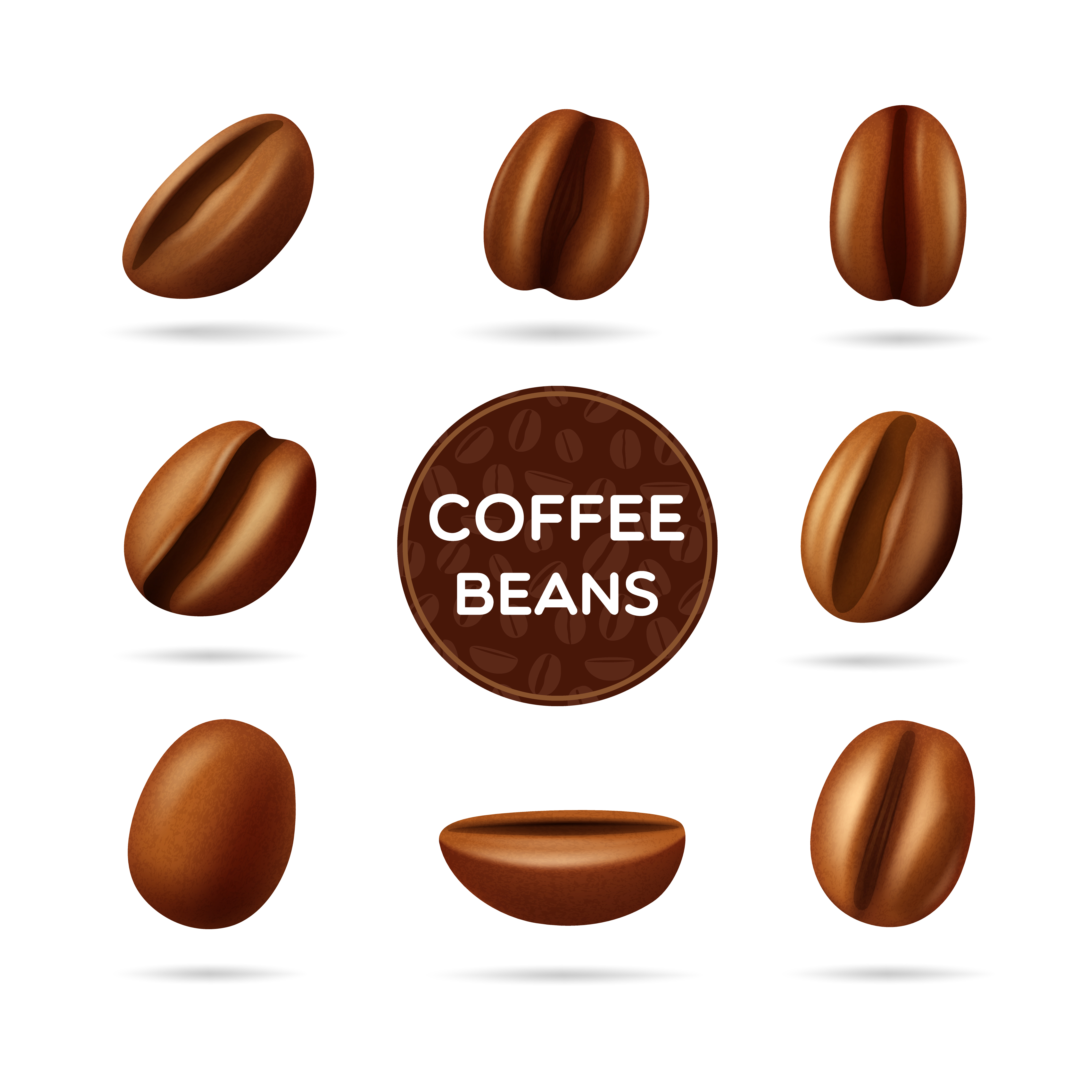 Coffee beans concept set 462019 Vector Art at Vecteezy