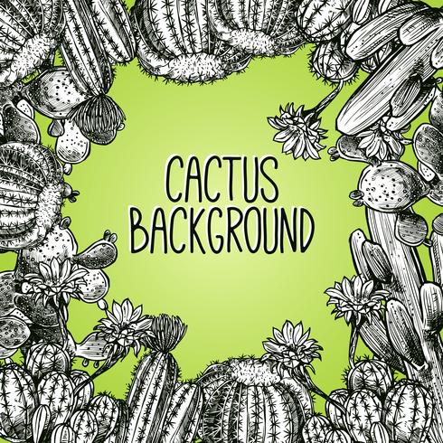 Cactus Sketch Frame vector