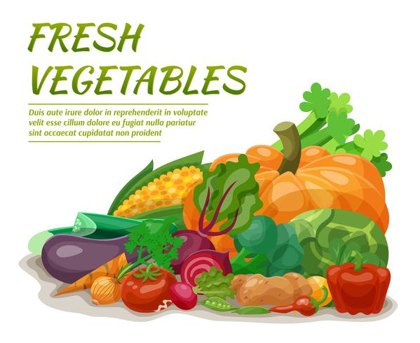 Ilustración de verduras frescas vector