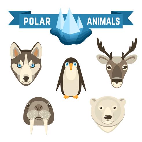 Conjunto de animales polares vector