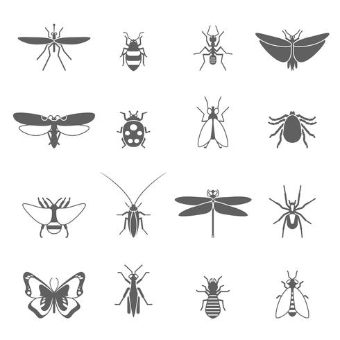 Conjunto de iconos negros de insectos vector