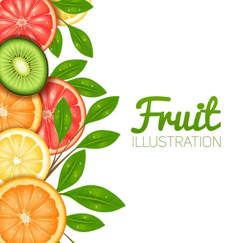 Ilustración de frutas de verano vector