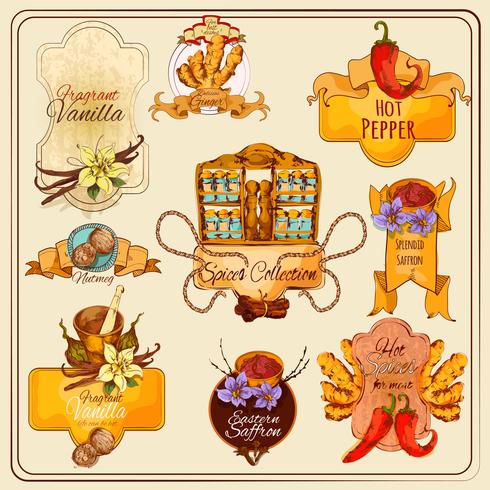 Spices Vintage Labels vector