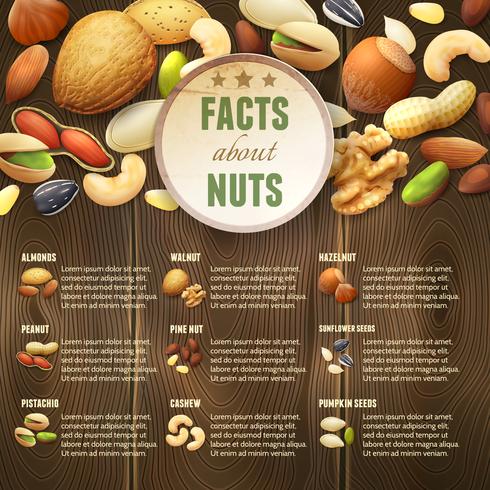 Nuts On Wooden Background vector