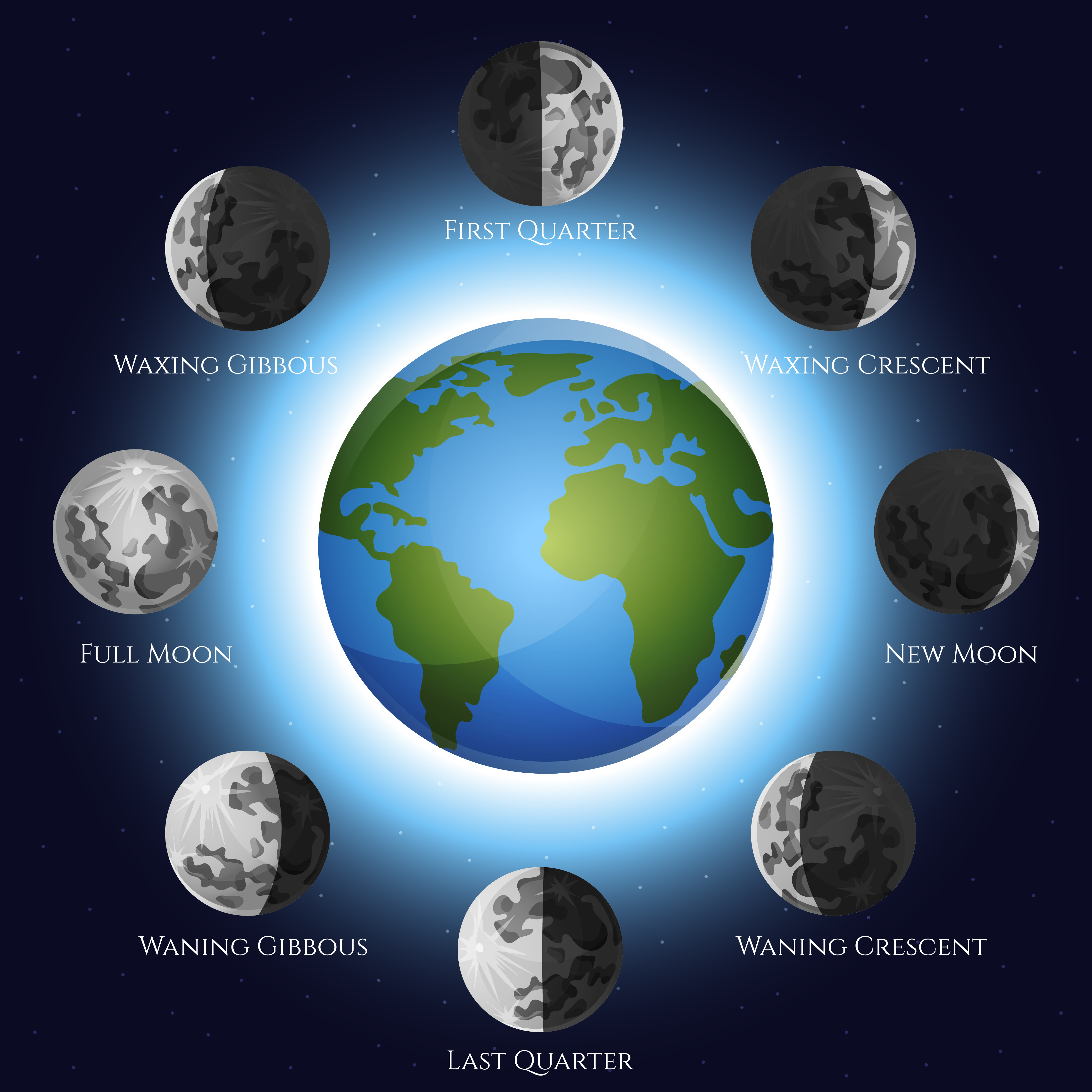 Lunar Phases Clip Art