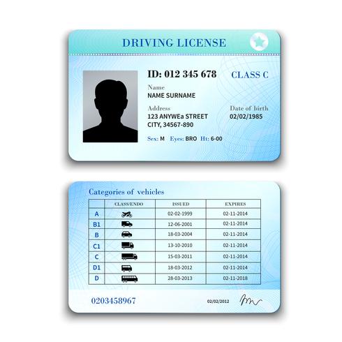 Ilustración de la licencia de conducir vector
