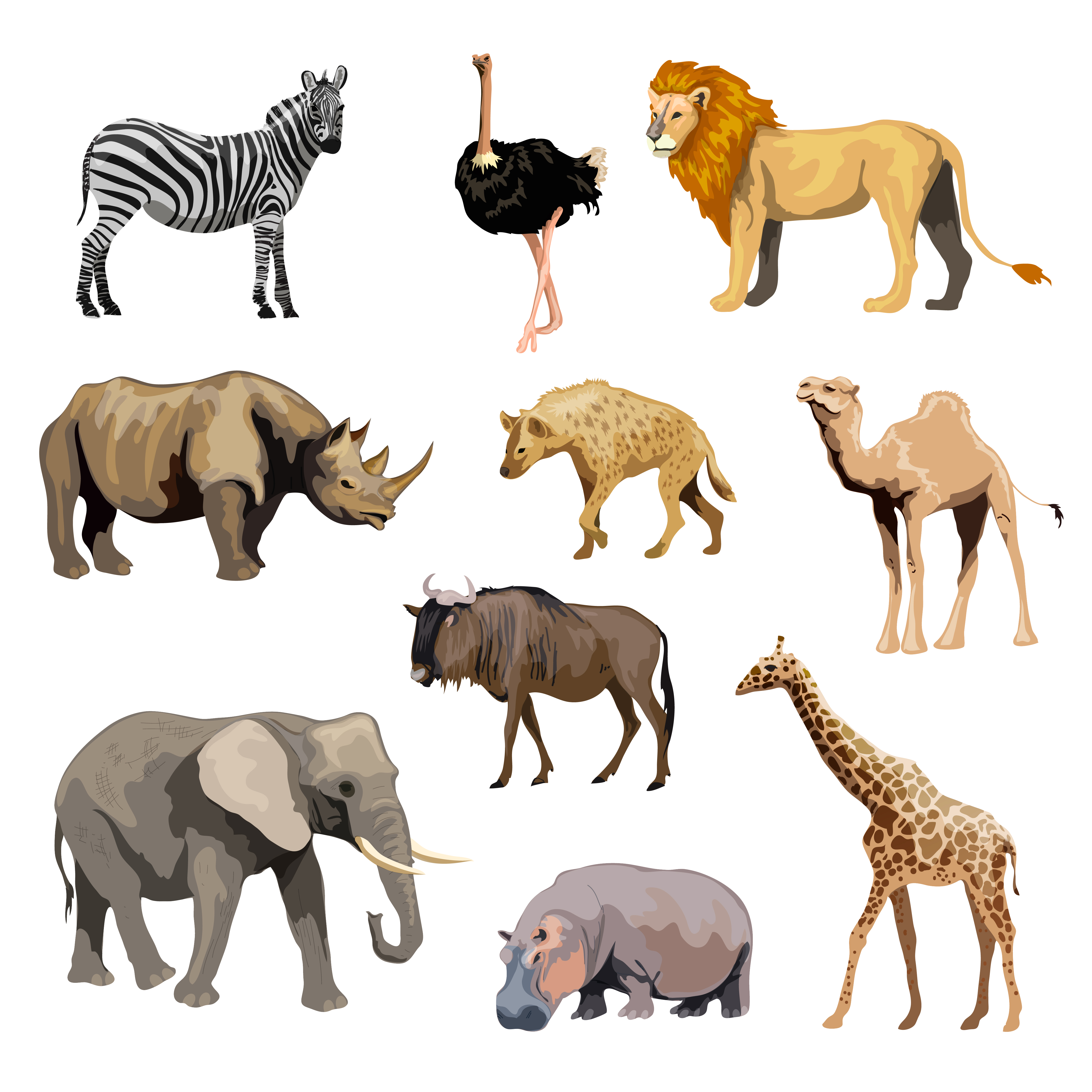 Download Wild African Animals Set 463326 - Download Free Vectors, Clipart Graphics & Vector Art