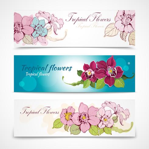 Banners de flores tropicales vector