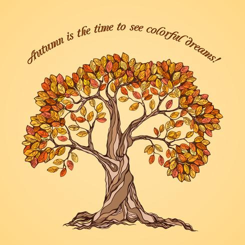 Cartel de arbol de otoño vector