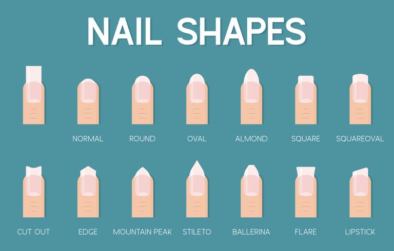 Formas de uñas para manicure y pedicure icon vector