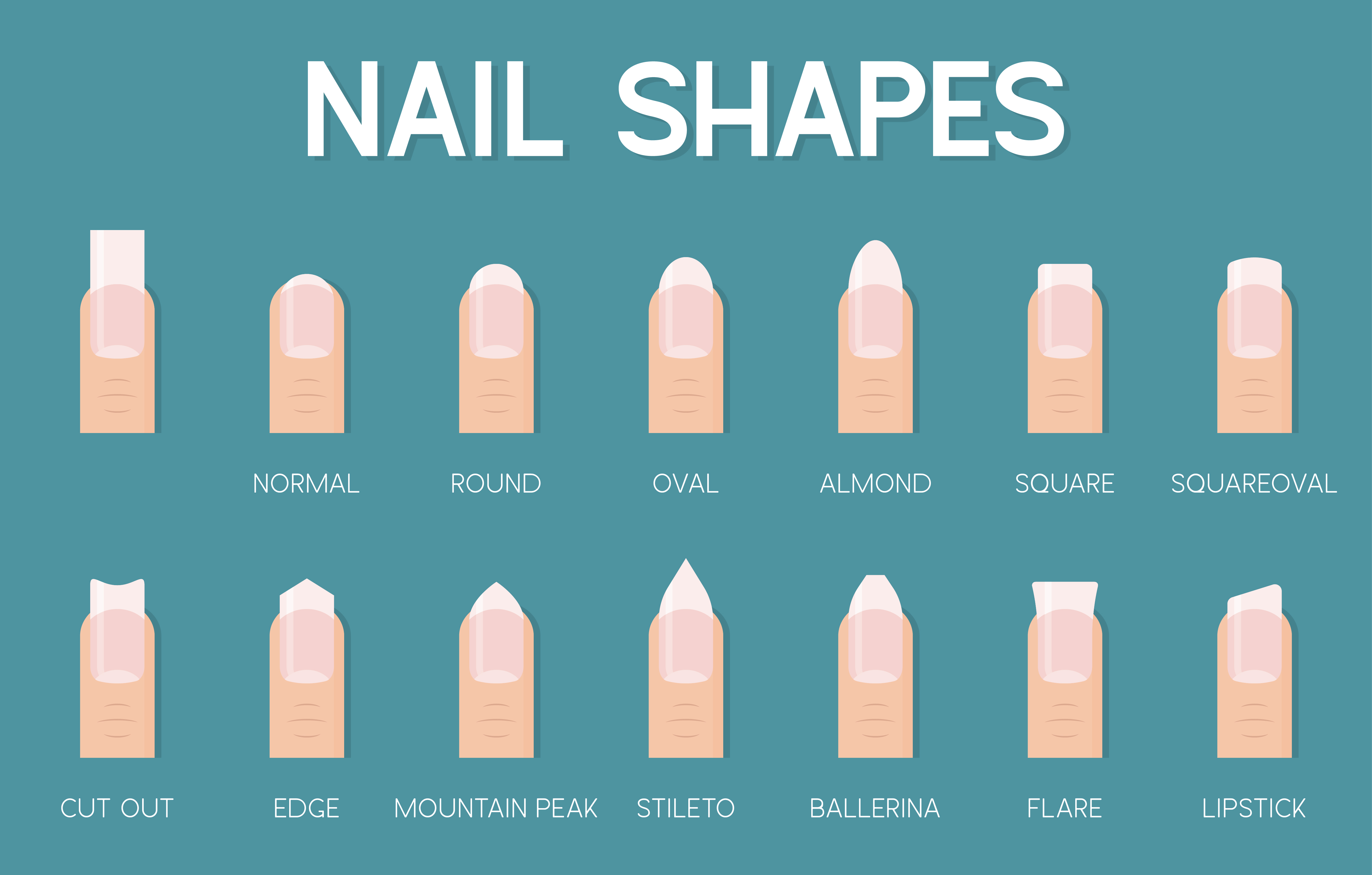 Nail Shapes Vector Art, Icons, and Graphics for Free Download