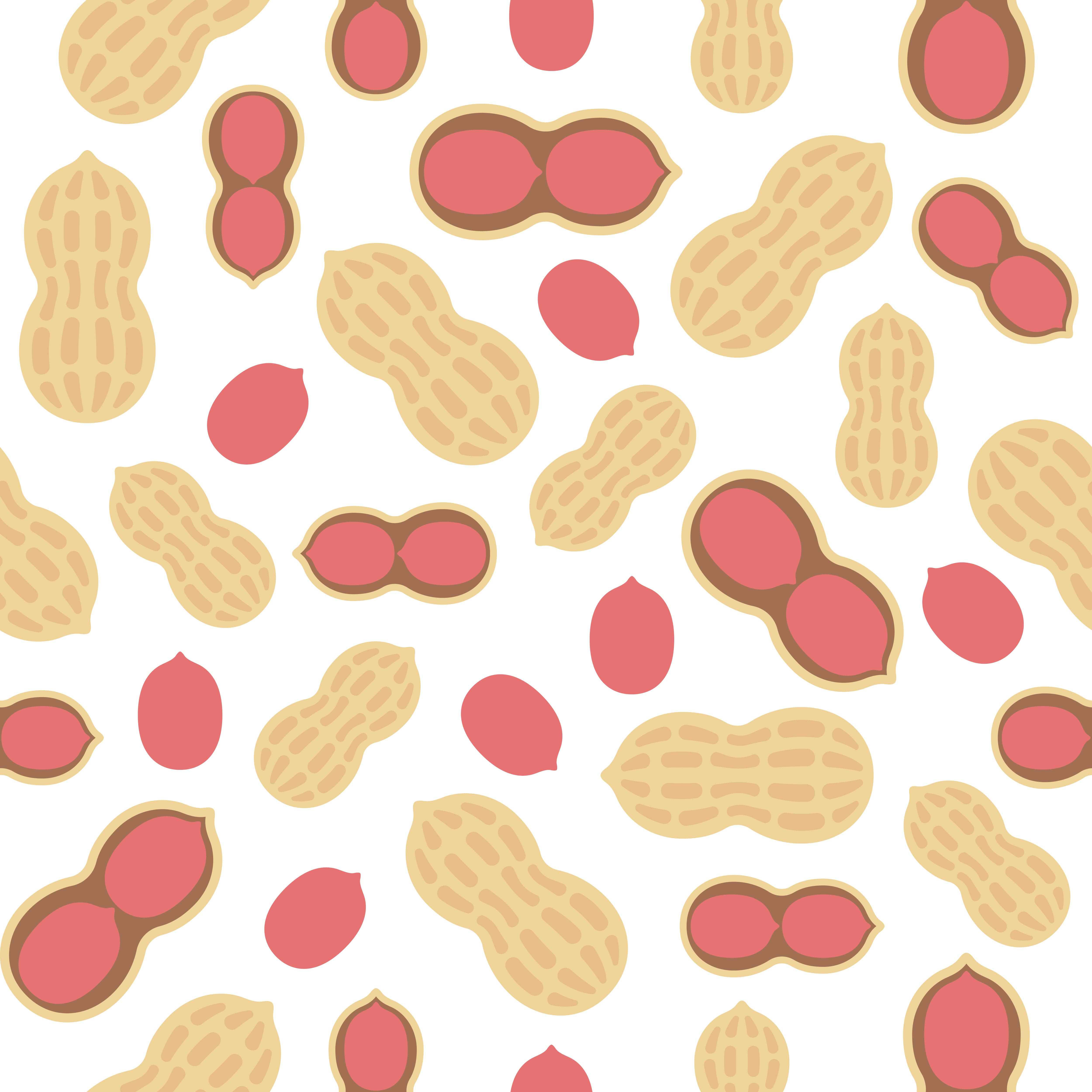 peanut seamless pattern for wallpaper or wrapping paper 464769 Vector