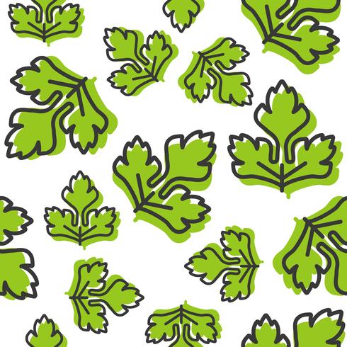 vegetable seamless pattern, coriander or celery leaf outline vector