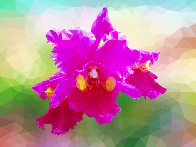 Polygon vector orchid