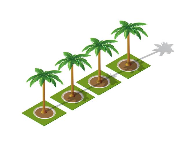 Set of isometric 3D palm vector