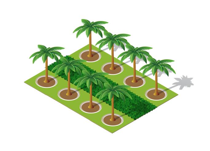 Trees of a park palm vector