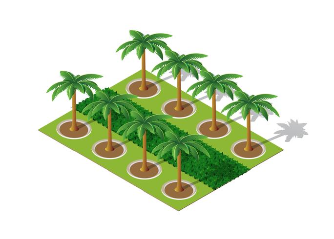 Árboles de un parque de palmeras. vector