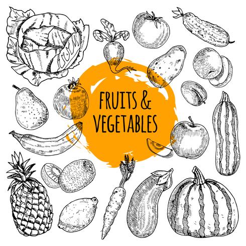 Healthy food collection hand drawn doodle  vector