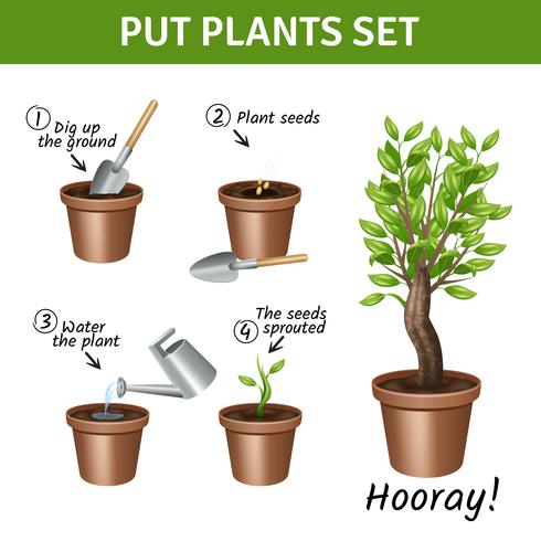 Putting  Plants Icons Set  vector