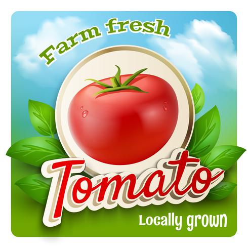 Tomato Promo Poster vector