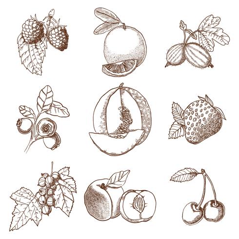 Hand Drawn Berries And Fruits Set vector