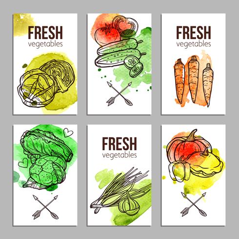 Cards With Vegetables vector
