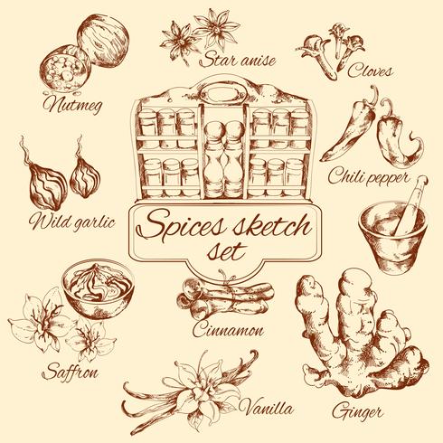 Spices Sketch Set vector