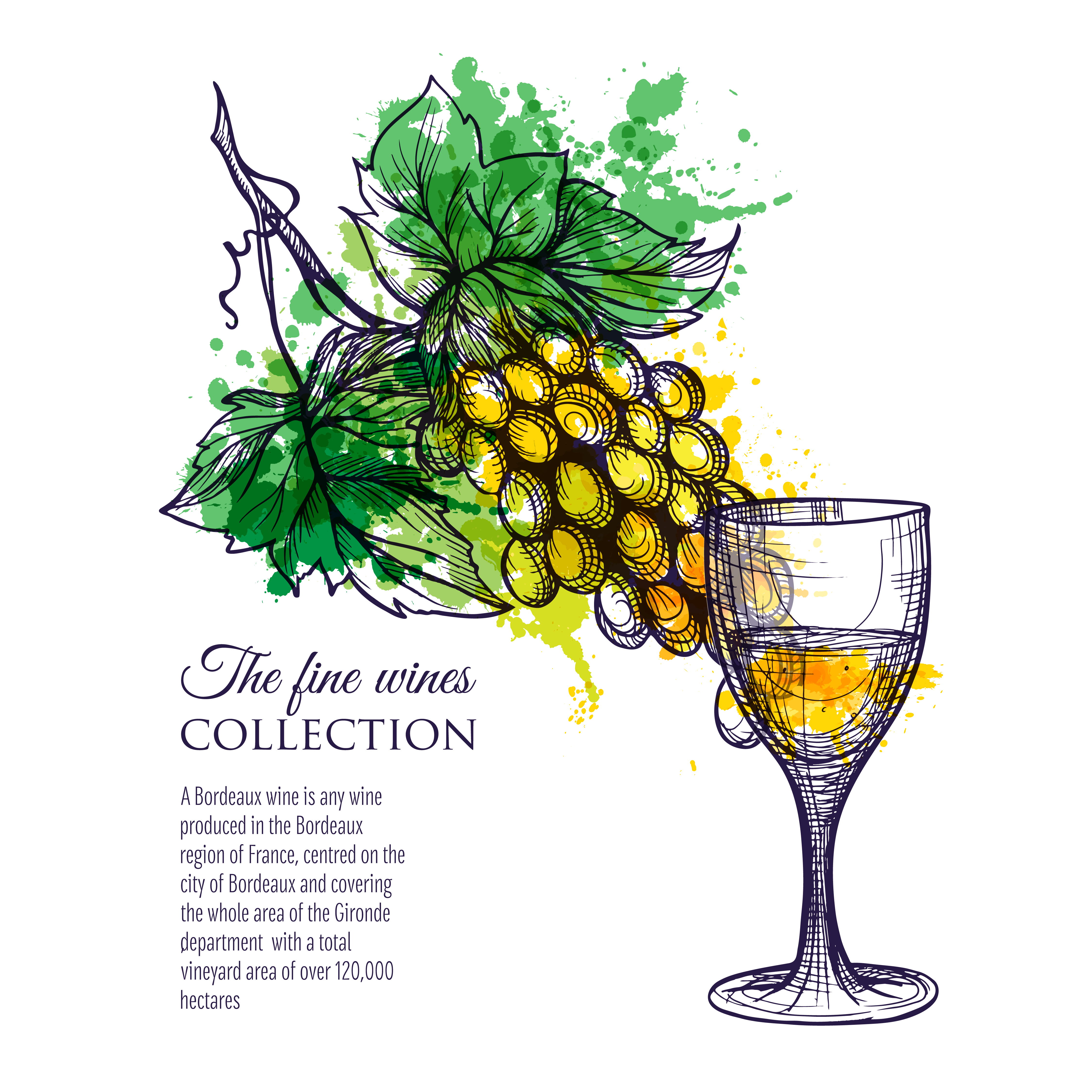 Download Glass Of White Wine With Branch Grapes 466383 Vector Art ...