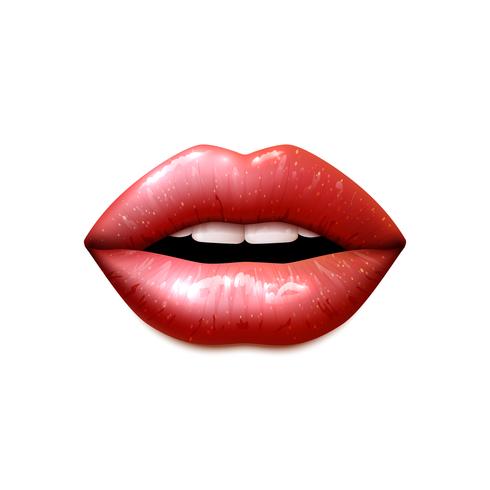 Labios femeninos realistas vector