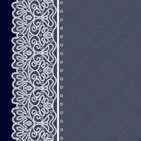 Lace Decorative Background vector