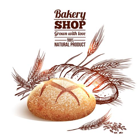 Bakery Sketch Concept vector