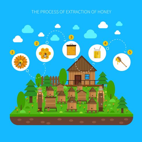 Process Of Honey Extraction Concept  vector