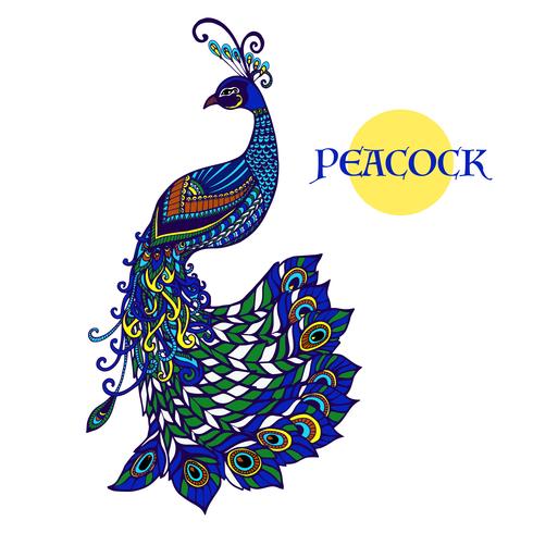 Decorativo pavo real diseño doodle color impresión vector