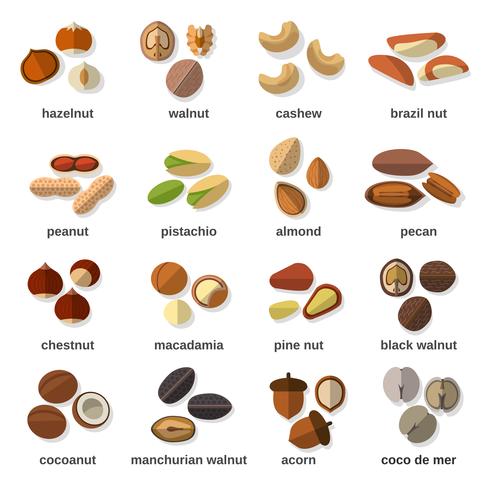 Conjunto de iconos planos nueces vector