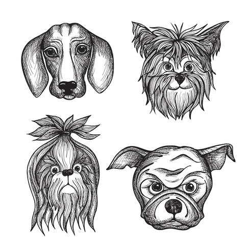 Conjunto de caras de perros dibujados a mano vector