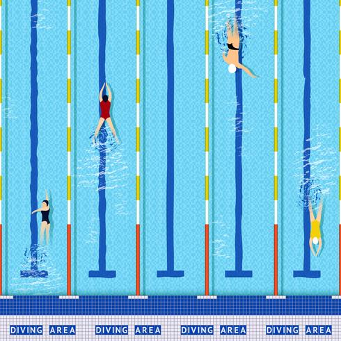 Swimming pool top view vector