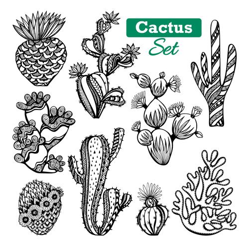 Conjunto de iconos de cactus vector