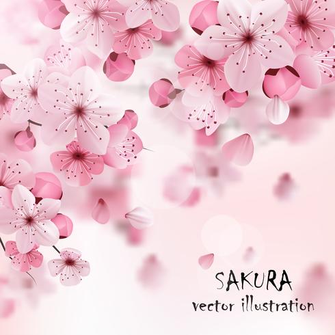 Cereza rosa Sakura Imprimir vector