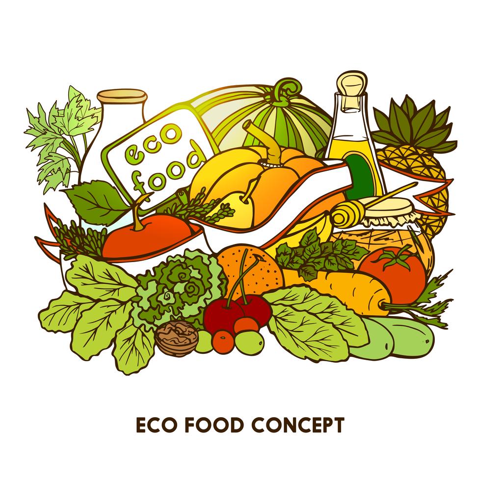 Hand Drawn Eco Food Concept 467221 Vector Art at Vecteezy