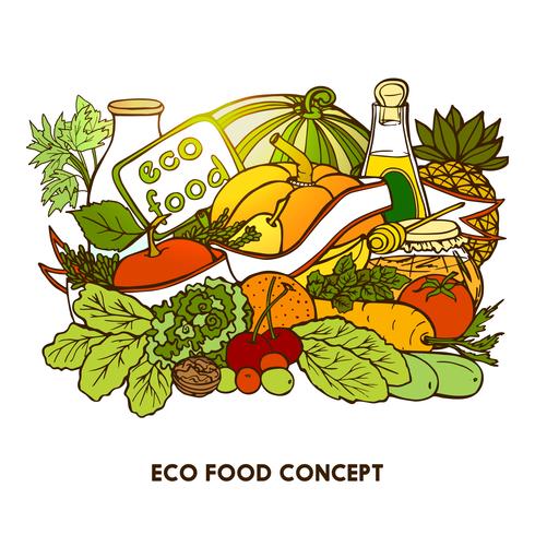 Hand Drawn Eco Food Concept vector