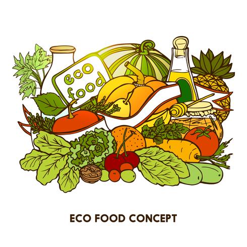 Dibujado a mano concepto de comida ecológica vector