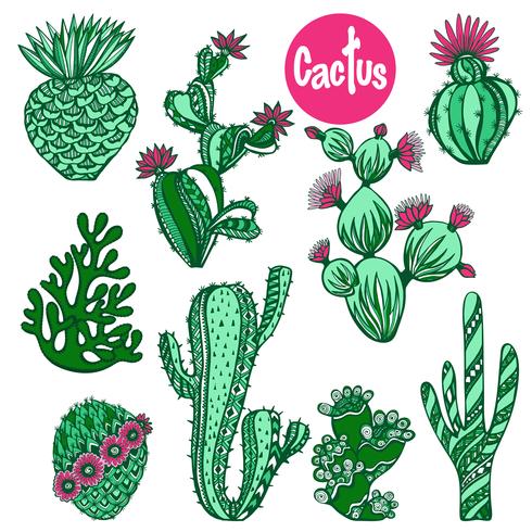 Color cactus set vector