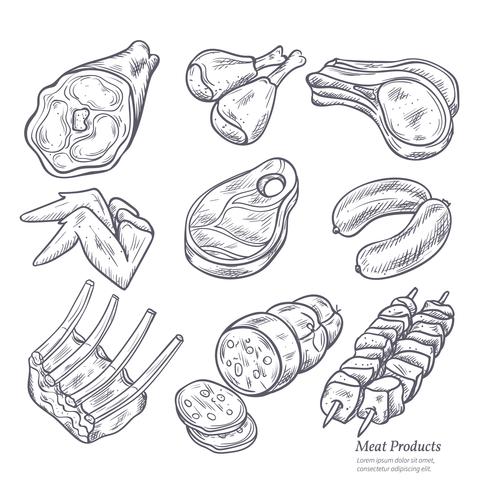 Gastronomic Meat Products Sketches vector