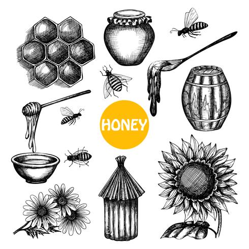 Honey set black hand drawn doodle  vector