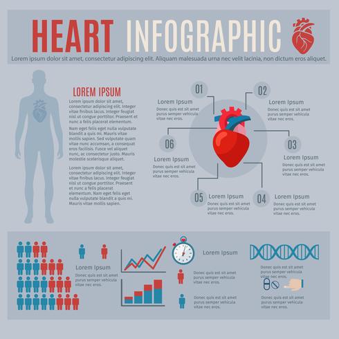 Infografía del corazón humano vector