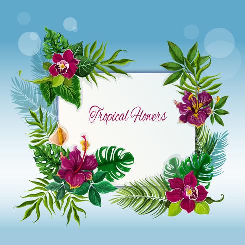 Tropical flowers and leaves frame vector