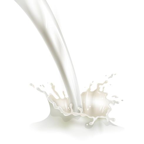 Verter la leche con el cartel de ilustración splash vector